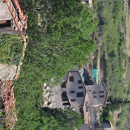 Hostal La Muntanya Castellar De N'Hug Ngoại thất bức ảnh