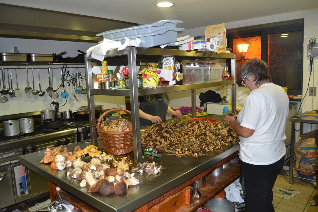 Hostal La Muntanya Castellar De N'Hug Ngoại thất bức ảnh